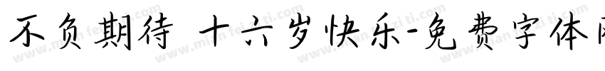 不负期待 十六岁快乐字体转换